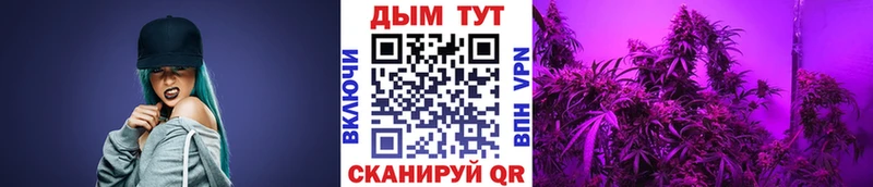 Купить закладку КОКАИН  Галлюциногенные грибы  СК  МДМА  Мефедрон  Марихуана  Дагестанские Огни
