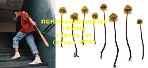 твердый Иннополис