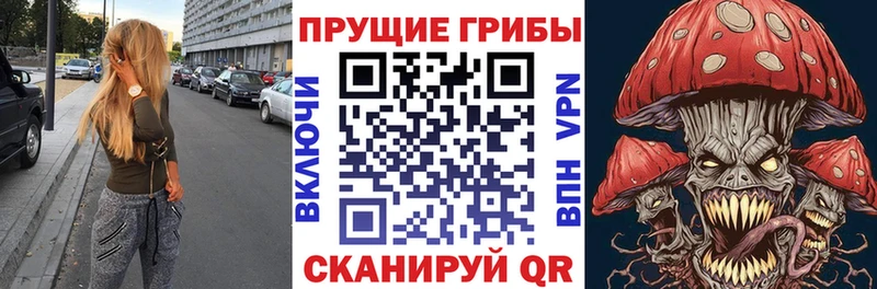 Галлюциногенные грибы GOLDEN TEACHER  Купить закладки  Дагестанские Огни 
