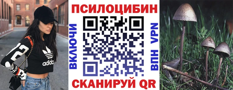Галлюциногенные грибы Psilocybe Дагестанские Огни